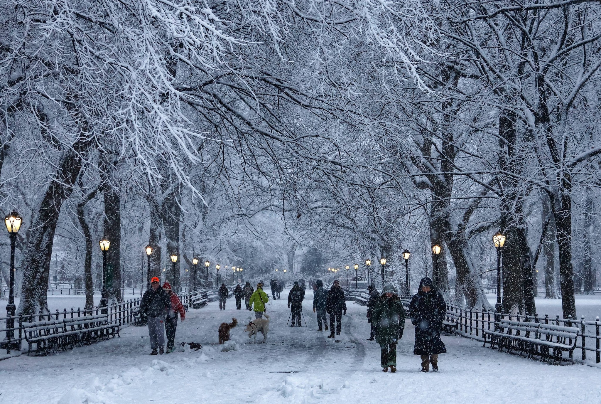 Tant� Minden - Tant� Andr�s Szem�lyes Blogja